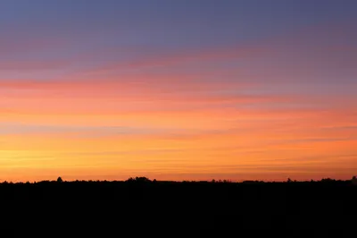 Illustration sun - Image 1