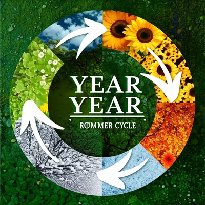 Illustration annual - Image 1