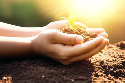 Illustration trusts - Image 1