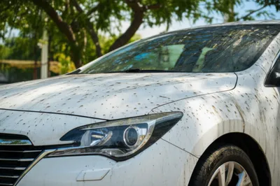 Illustration muting - Image 1