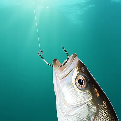 Illustration hook - Image 1