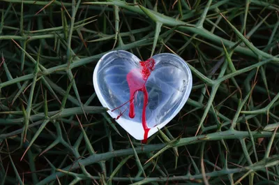 Illustration passible - Image 1