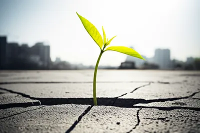 Illustration originally - Image 1