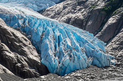 Illustration pluck - Image 1