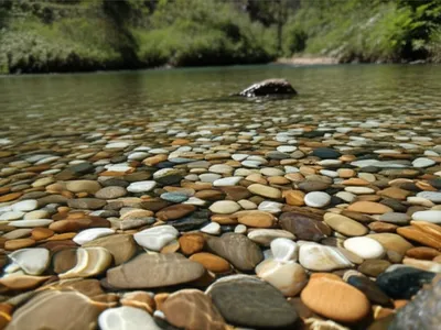 Illustration pellucid - Image 1