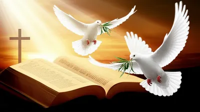 Illustration word - Image 1