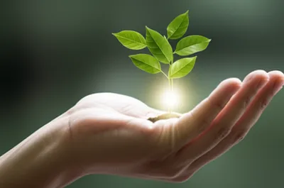 Hình ảnh minh họa create - Ảnh 1