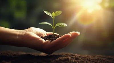 Illustration aids - Image 1