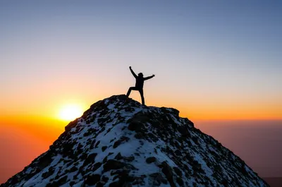 Illustration mounts - Image 1