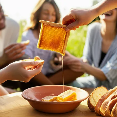 Illustration tamed - Image 1