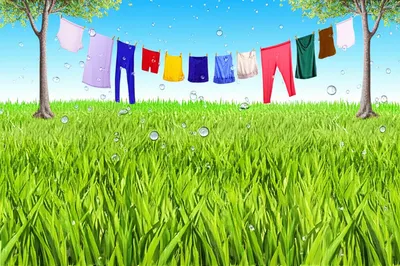 Illustration drying - Image 1