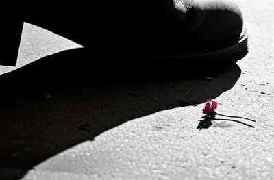 Illustration drubbed - Image 1