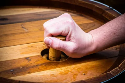 Illustration bungs - Image 1