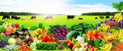 Illustration fat - Image 1