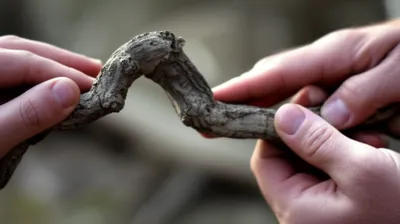 Illustration suppled - Image 1