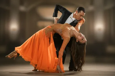 Illustration dips - Image 1