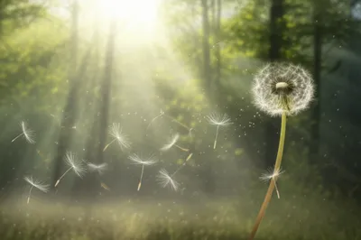 Illustration aerosols - Image 1