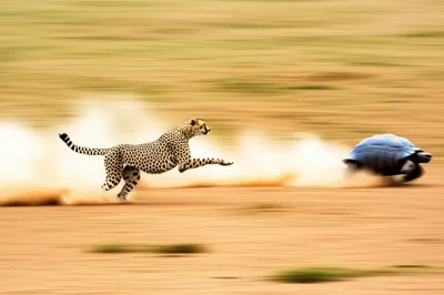 Illustration outrun - Image 1