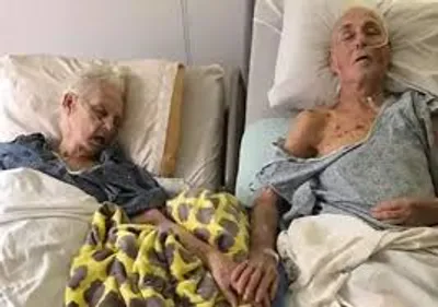 Illustration indivisible - Image 2