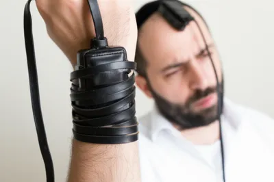 Illustration laying - Image 1