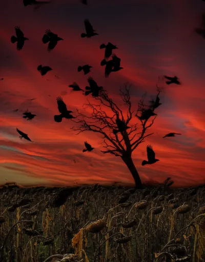 Illustration signs - Image 1