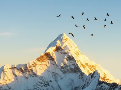 Illustration mounts - Image 1