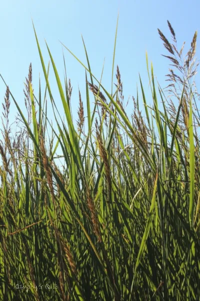 Illustration spire - Image 1