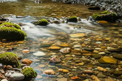 Illustration babble - Image 1