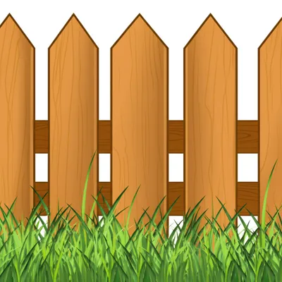 Illustration lower - Image 1