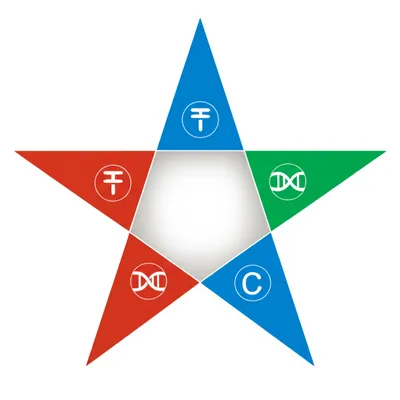 Illustration pyrimidines