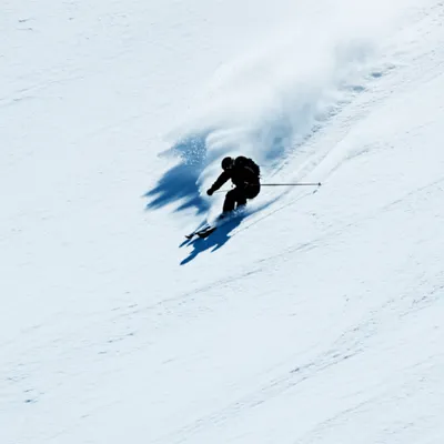 Illustration schusses - Image 1