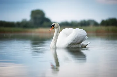 Illustration facile - Image 1