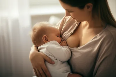 Illustration lactation - Image 1