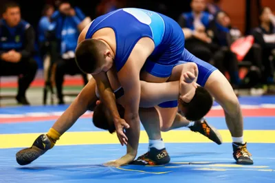 Illustration wrestle - Image 1