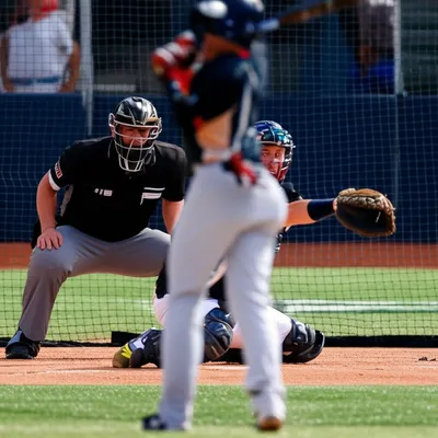 Illustration backstop - Image 1