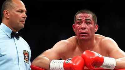 Illustration bout - Image 1