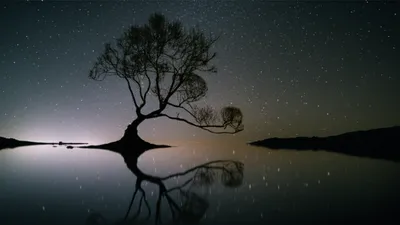 Illustration timeless - Image 1