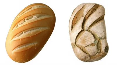 Illustration stale - Image 1