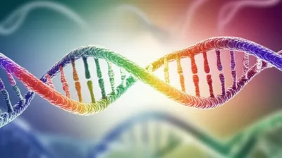 Illustration pyramiding - Image 1