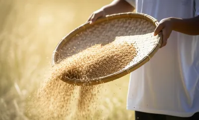 Illustration winnow - Image 1