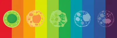 Illustration grades - Image 1