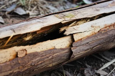 Illustration split - Image 1