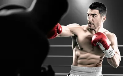 Illustration flyweights - Image 1