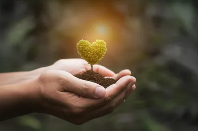 Illustration hearts - Image 1