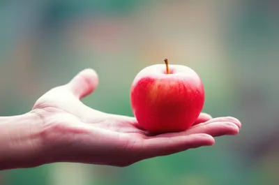 Illustration offered - Image 1