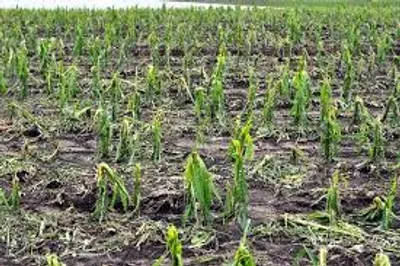 Illustration lean - Image 3