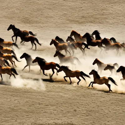 Illustration wallops - Image 1