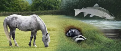 Illustration greys - Image 1