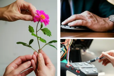 Illustration handle - Image 1