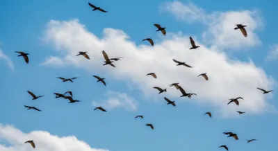 Illustration lofts - Image 1